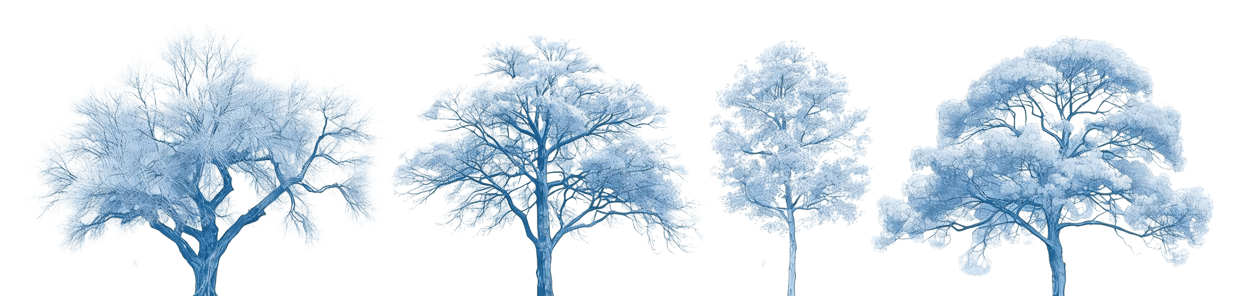 Untitled design - 2025-11-19T113401-873 Untitled design - 2025-11-19T113401-873