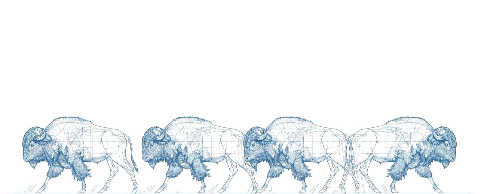 e53fcbd0-5a67-400f-913c-9b106d86902d