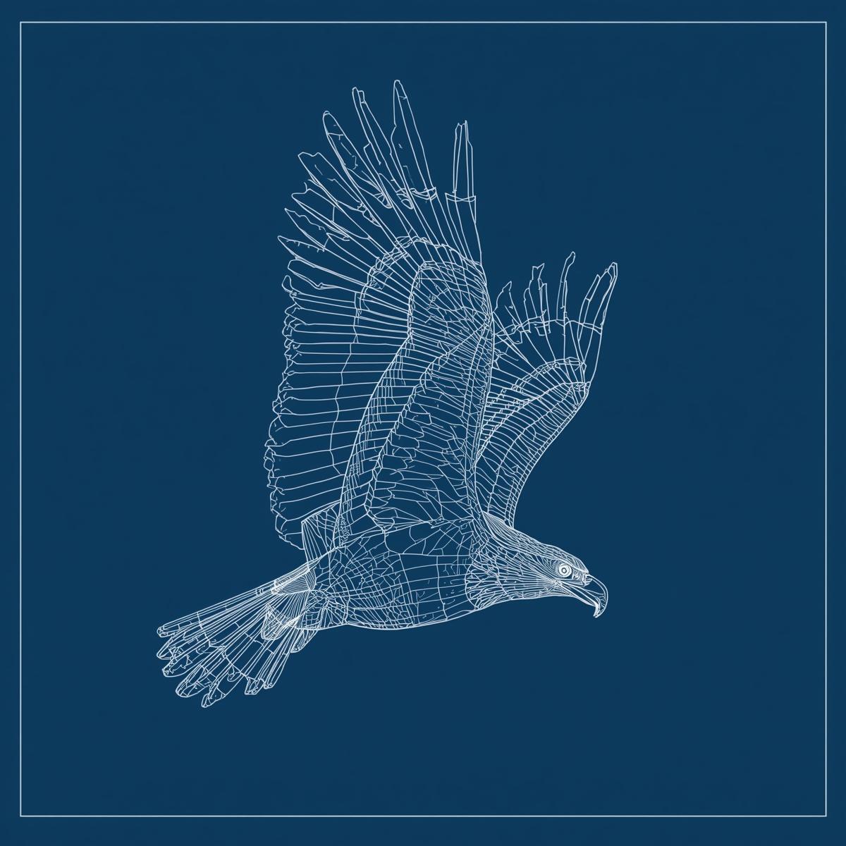 eagle in sky in blueprint style (no words)